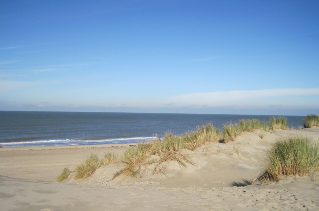 Natürliche Dünen in Holland